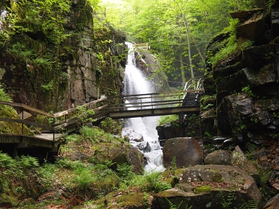 [An approximately 30 foot waterfall cascading down a rock face. In front of it spanning the image is a bridged walkway from the wooden stairs on the boardwalk trail on the rock face on the left to the stairs on the rock face on the right.]